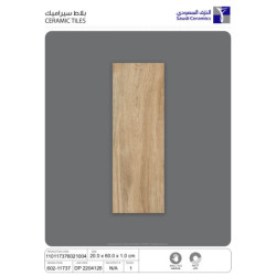سيراميك | 11737 | 60×20