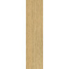بورسلان مطفي | EFD151R004242 Oak | 60×15