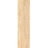 بورسلان مطفي | EFD151R004587 Maple | 60×15