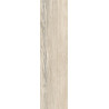 بورسلان مطفي | EFD151R004588 Ash | 60×15