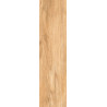 بورسلان مطفي | EFD151R004589 Honey | 60×15