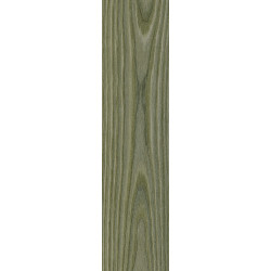 بورسلان مطفي | EFD151R004598 Olive | 60×15