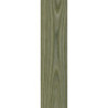 بورسلان مطفي | EFD151R004598 Olive | 60×15