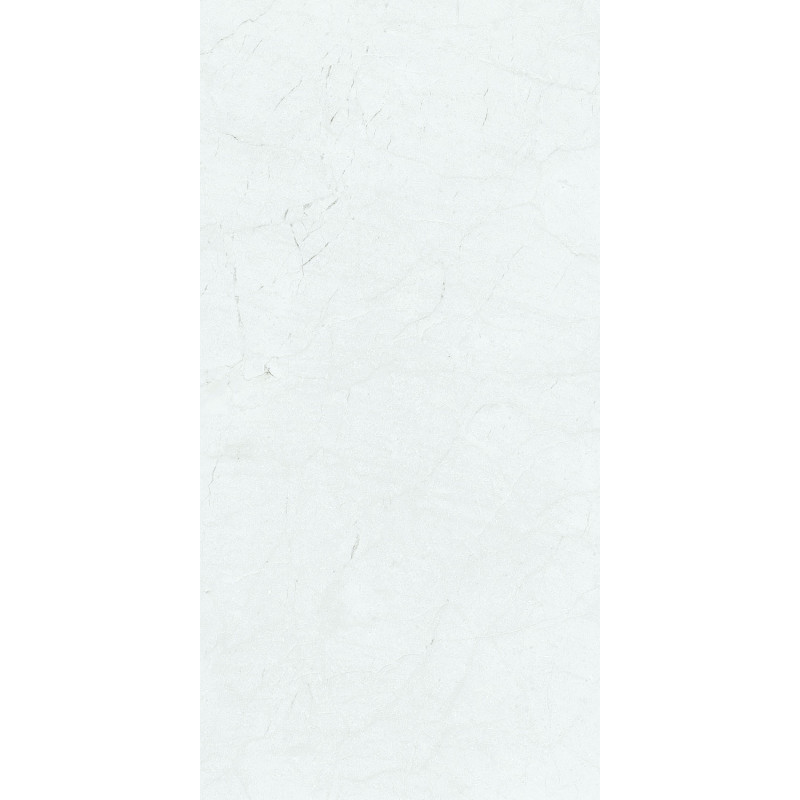 بورسلان لميع | EFD981P002180 Silver ‫‬ | 120×60