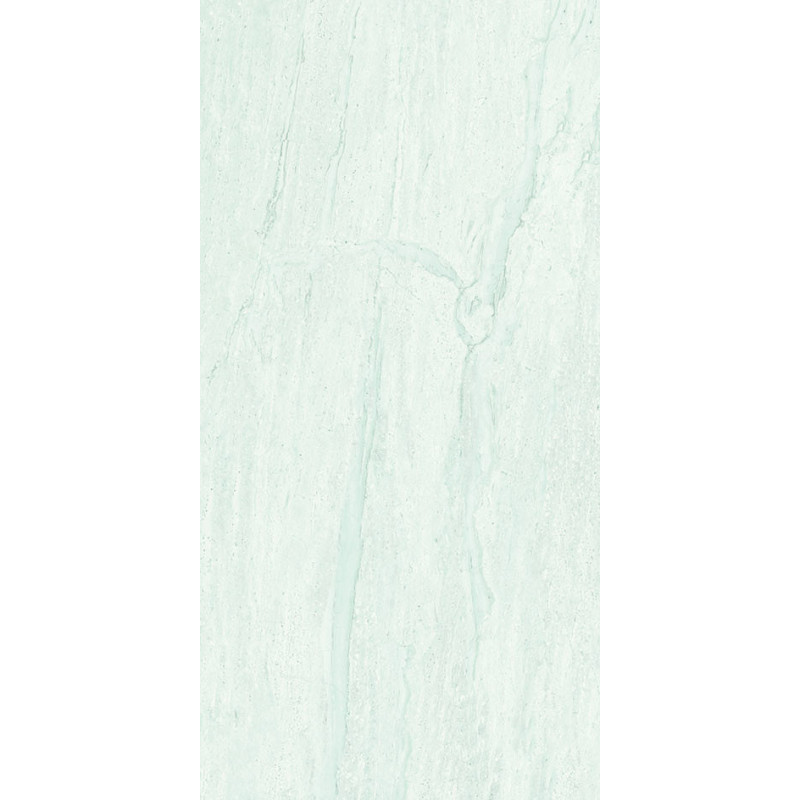 بورسلان لميع | EFD981P002183 Silver | 120×60