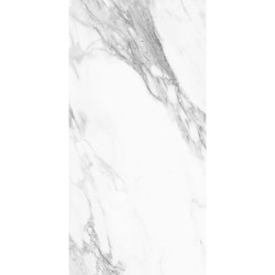 بورسلان لميع | EFD981P002248 Silver | 120×60