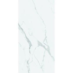 بورسلان لميع | EFD981P200474 Light Grey | 120×60