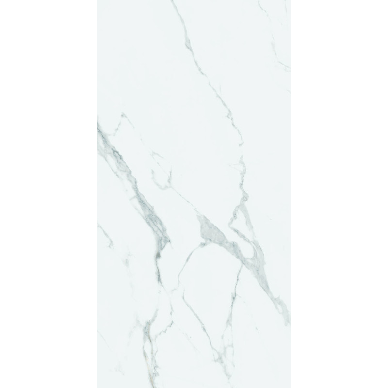 بورسلان لميع | EFD981P200474 Light Grey | 120×60