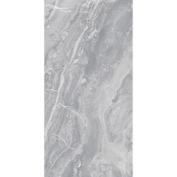 بورسلان لميع | EFD981P200729 Grey | 120×60