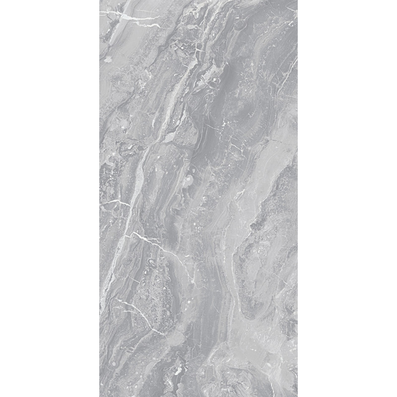 بورسلان لميع | EFD981P200729 Grey | 120×60