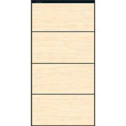 بورسلان |   TR - 61206WPS | 120×60