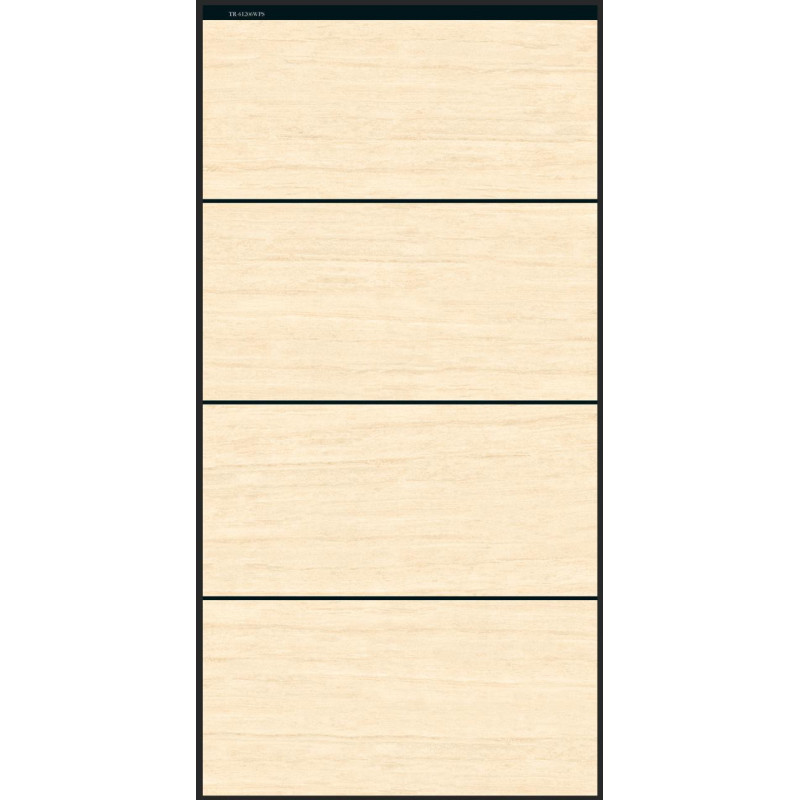 بورسلان |   TR - 61206WPS | 120×60