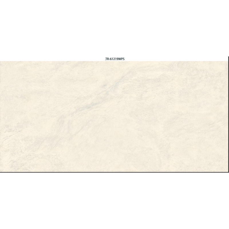 سيراميك |   TR - WP61219 | 120×60
