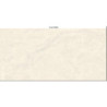 سيراميك |   TR - WP61219 | 120×60