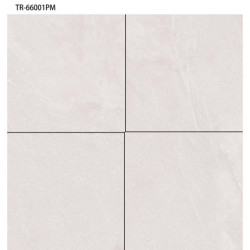 سيراميك |   TR - 66001PM | 60×60