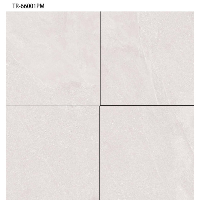 سيراميك |   TR - 66001PM | 60×60