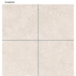 سيراميك |   TR - 66002PM | 60×60