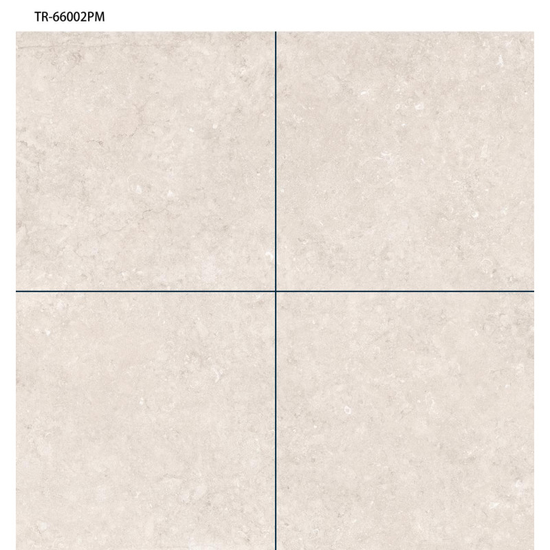 سيراميك |   TR - 66002PM | 60×60