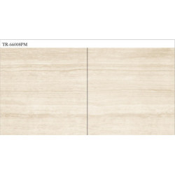 سيراميك |   TR - 66008PM | 60×60