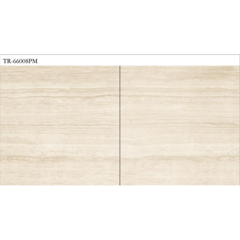 سيراميك |   TR - 66008PM | 60×60