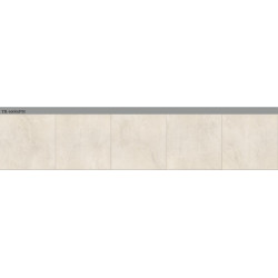 سيراميك |   TR - 66006PM | 60×60