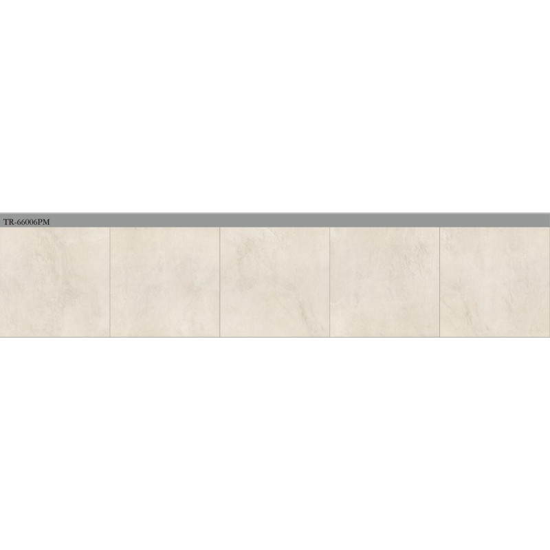 سيراميك |   TR - 66006PM | 60×60