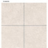 سيراميك |   TR - 66002PM | 60×60